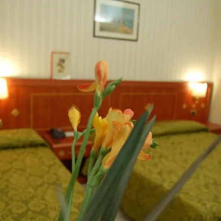 Hotel Chelsea 3*